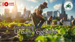 Gardening Urban Vegetable