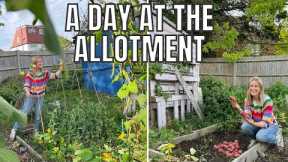 PLANTING SOME AUTUMN BRASSICAS / ALLOTMENT GARDENING FOR BEGINNERS