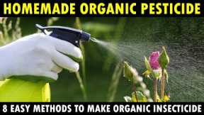 Best Homemade Organic Pesticides for Vegetable Plants | How to make Organic insecticide at Home