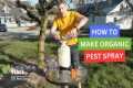 How To Make DIY Organic Pest Spray