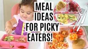 WHAT MY TODDLER EATS IN A DAY | TODDLER MEAL IDEAS FOR PICKY EATERS!