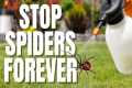 Make Your Home SPIDER FREE FOREVER |