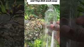 Diy (Natural) Bug Spray#shorts