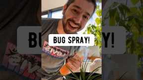 How to Make a Bug Spray for Plants | creative explained