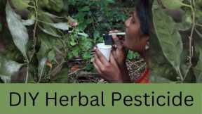 DIY Herbal Pesticide | DIY Science | ThinkTac