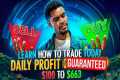 $700 DAILY PROFIT SECRETS TOP TRADER