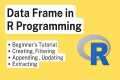 How to Create a Data Frame in R