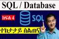 SQL Tutorial - Database for Beginners 