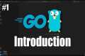 Golang Tutorial for Beginners #1: