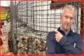 Building a gabion wall - Stacking and 