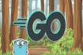 🚀 Learn Go Programming - Golang Full 