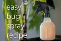 DIY Organic Bug Spray - How To Make