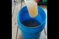 Make Liquid Fertilizer from Kitchen