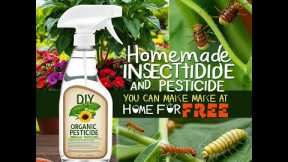 How to Create Organic Pesticide at home for FREE1