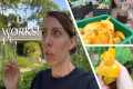 I tried this old Florida Gardener
