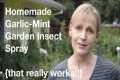 Homemade Garlic-Mint Garden Insect