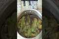 Neem Pesticide Spray for Plants -