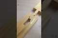 Crazy idea of Japanese carpenter wood 