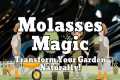 Molasses Magic: Transform Your Garden 