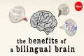 The benefits of a bilingual brain -