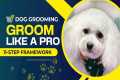Dog Grooming-Guide for Beginners