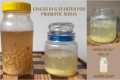 How to make a ginger bug starter for
