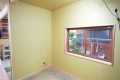 Can One Window Really Transform Your