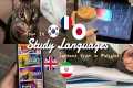 How I Study 3 Languages at Once! |