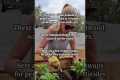 Ditch the Toxins: Safe, Effective