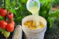 How Orange Peels Can Protect Your