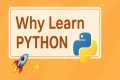 Why Learn Python? 🔥 The #1