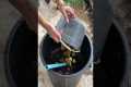 How to Make Fermented Fruit Juice to