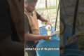 Natural insect repellents to keep