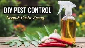 Homemade Organic Pesticide for All Plants | Neem, Garlic & Chili Spray for Aphids,Whiteflies,Mites