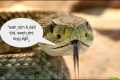 Why I hate these standard linguistic