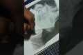 drawing tutorial for beginners