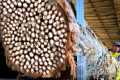 Disgusting !! What's Inside This Log