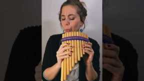 Siku Bamboo Pan Pipes - Sound Demo