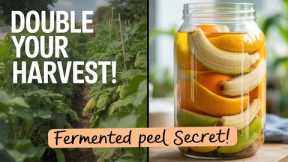 The Hidden Gardener's Trick  Double Your Harvest with This One Simple Fermented Fruit Peel Hack!