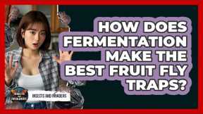 How Does Fermentation Make The Best Fruit Fly Traps? - Insects and Invaders