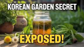 Fermented Plant Juice: A Korean Natural Farming Secret