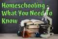 Homeschooling For Beginners: What You 