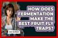 How Does Fermentation Make The Best