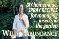 DIY homemade organic pesticide