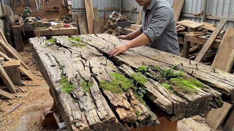 The Silent Beauty: When an Aged Cracked Log Becomes Art