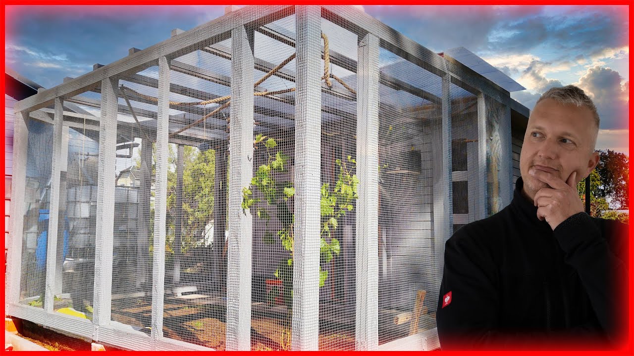 DIY Aviary Build: Installing Gates and Mesh