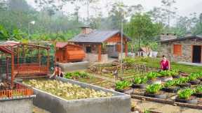 Full Video - 45Days Building Many Creative Cage To Raise Ducks, Geese - Growing Vegetable