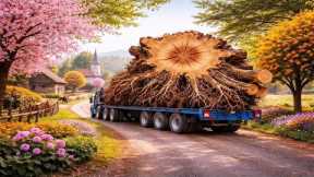 From an Abandoned Giant Tree Stump to a Stunning Piece of Furniture