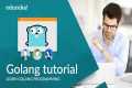 Go Programming Language Tutorial |