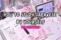 How To Start Learning Japanese For